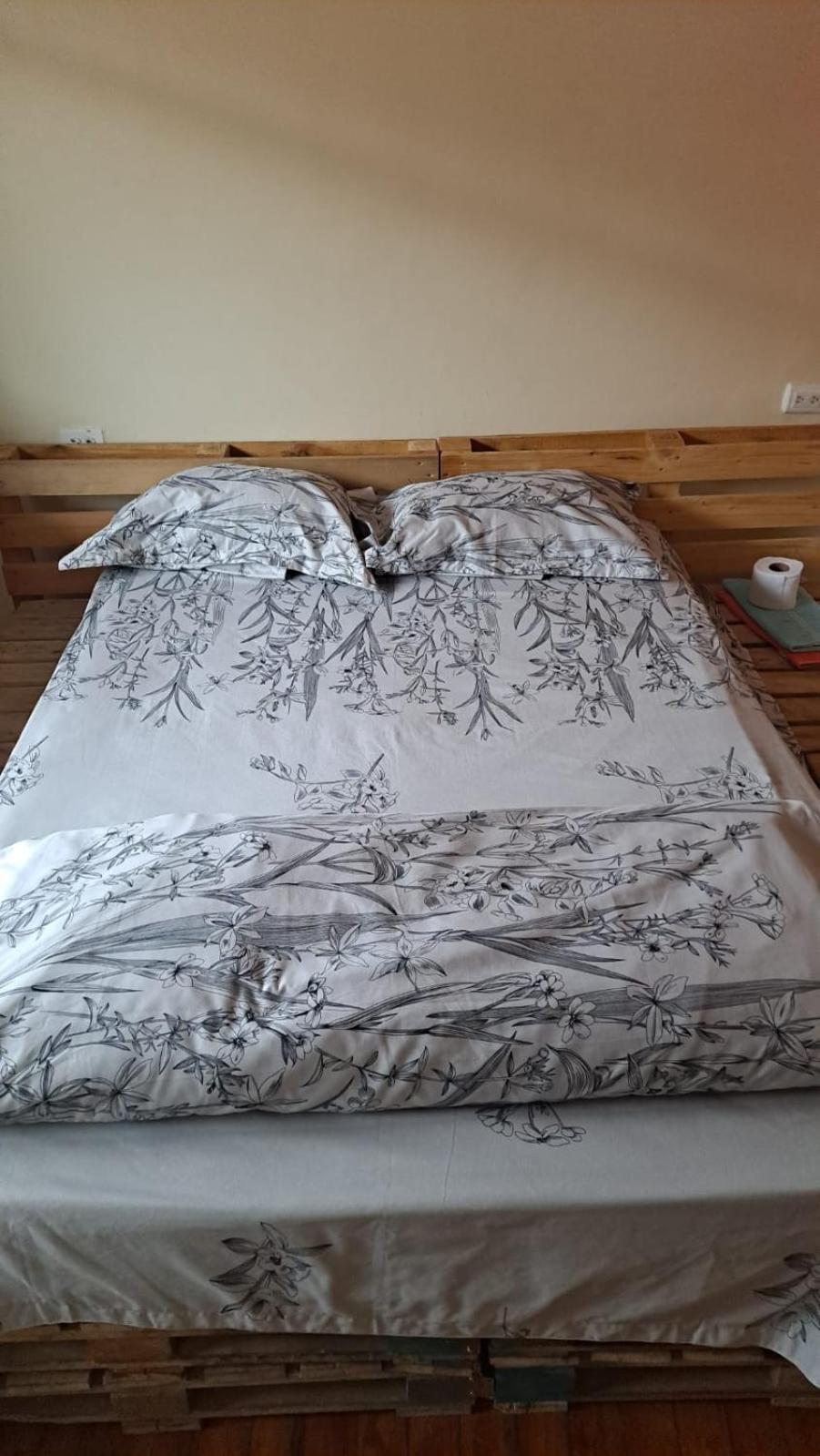 קואנקה Albergue Camry Backpackers佳美背包客旅馆 מראה חיצוני תמונה